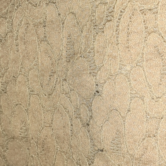 6/$25 Cream Lace Ambience Shirt - Picture 2 of 2